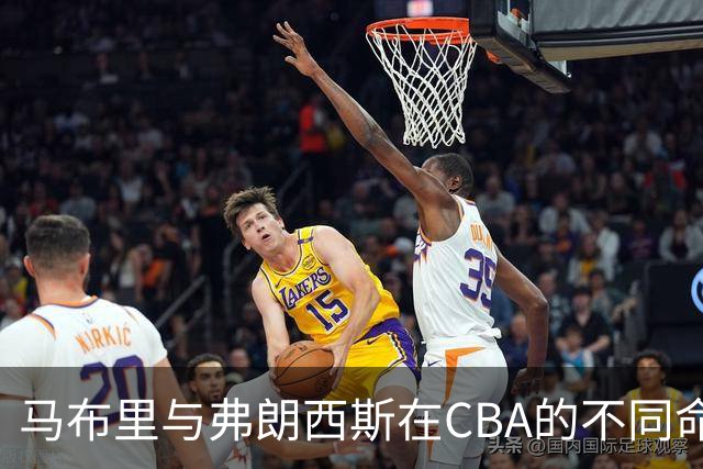 马布里与弗朗西斯在CBA的不同命运